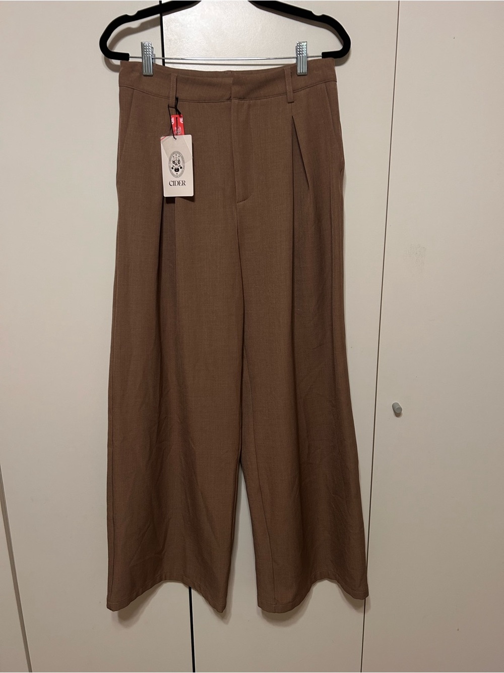 Cider Brown Pleated Wide-Leg Pants